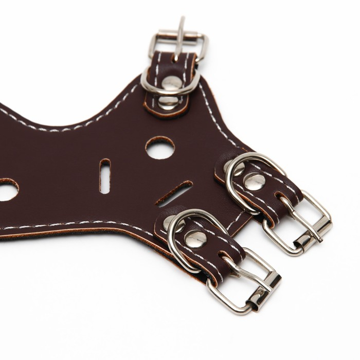 Намордник из прессованной кожи регулируемый, №2, ДН 5 см, ОМ 15-22 см, коричневый Намордник из прессованной кожи регулируемый, №2, ДН 5 см, ОМ 15-22 см, коричневый