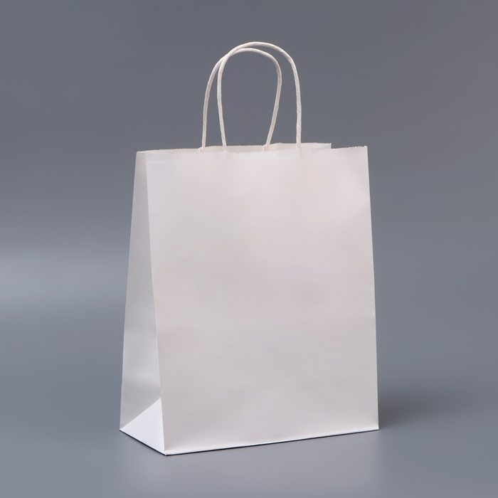 Пакет белый без печати, круглая ручка, 27 х 21 х 11 см, 120 г Пакет белый без печати, круглая ручка, 27 х 21 х 11 см, 120 г