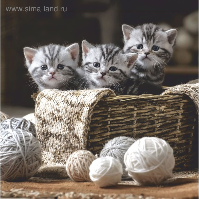 Картина на подрамнике Картина на подрамнике "Котята" 30*30 см