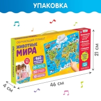 Обучающий плакат «Животные мира», звуковые эффекты