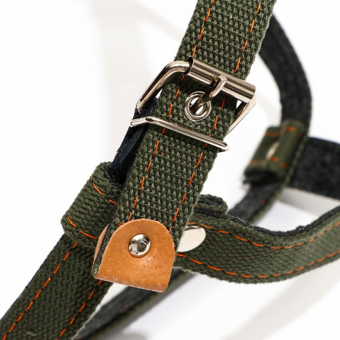 Шлейка брезентовая на фетре многоразмерная, 2,5 см, ОШ 44-68, ОГ 46-80 см, тёмно-зелёная Шлейка брезентовая на фетре многоразмерная, 2,5 см, ОШ 44-68, ОГ 46-80 см, тёмно-зелёная