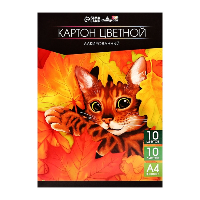 Картон цветной лакированный А4, 10 листов, 10 цветов, Calligrata TOP, односторонний, 200 г/м2, в папке Картон цветной лакированный А4, 10 листов, 10 цветов, Calligrata TOP, односторонний, 200 г/м2, в папке