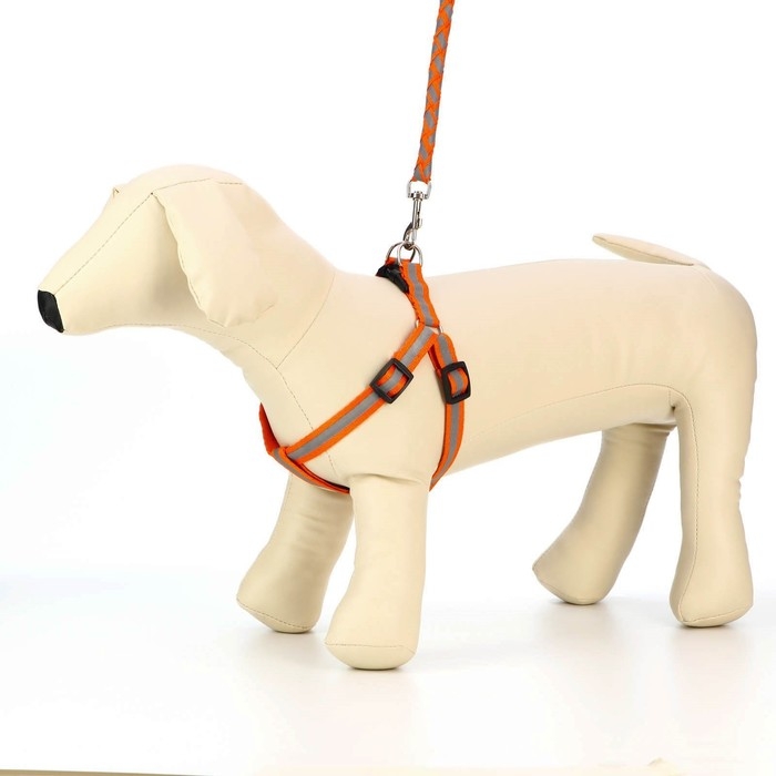 Комплект  Комплект "Плетенка", флуоресцентный, поводок 115 х 1 см, ОГ 32-48 х 1,5 см, оранжевый