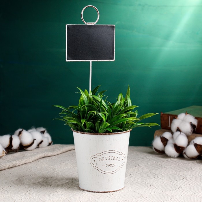 Кашпо  Кашпо "Ведерко Бьёрн" с табличкой для записей, МИКС, 10х8х10см