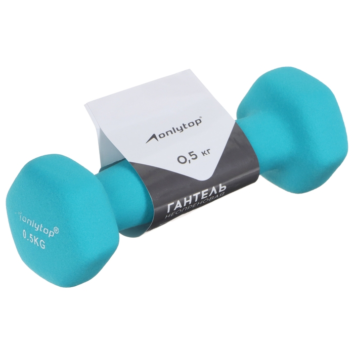 Гантель неопреновая ONLYTOP, 0,5 кг, цвет голубой Гантель неопреновая ONLYTOP, 0,5 кг, цвет голубой
