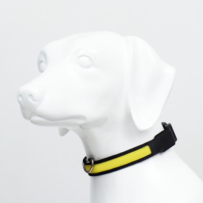 Ошейник с подсветкой Flash 3 режима свечения, размер XL, ОШ 52-60 х 2,5 см жёлтый Ошейник с подсветкой Flash 3 режима свечения, размер XL, ОШ 52-60 х 2,5 см жёлтый