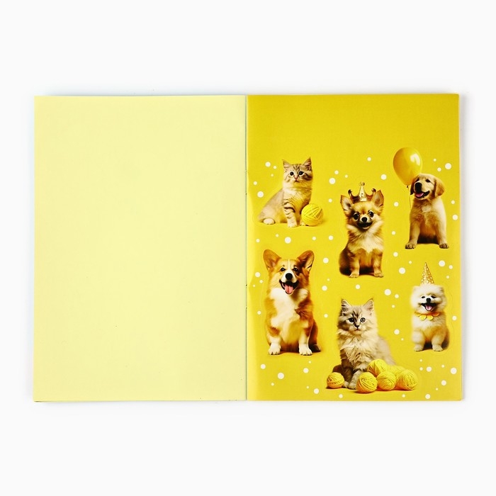 Альбом детских наклеек «Лучшие друзья», 11 х 16 см Альбом детских наклеек «Лучшие друзья», 11 х 16 см