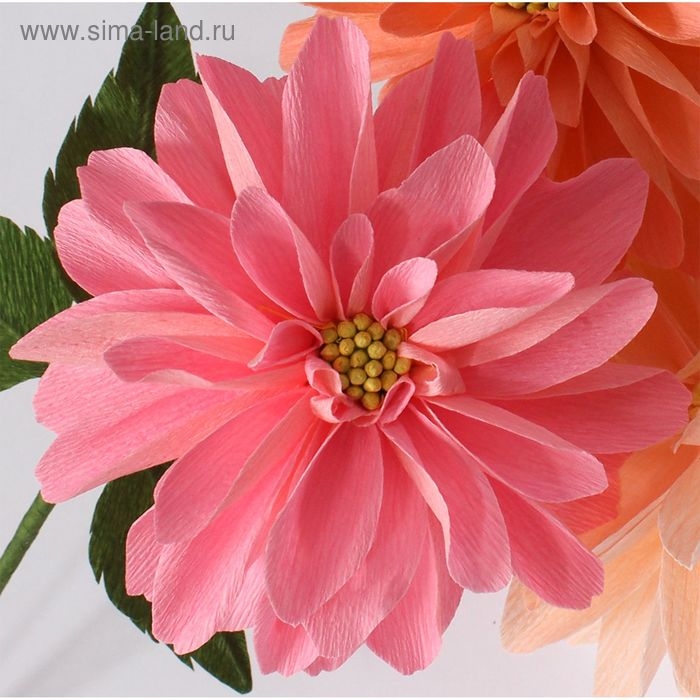 Бумага гофрированная, 601  Бумага гофрированная, 601 "Розовая гвоздика", 0,5 х 2,5 м