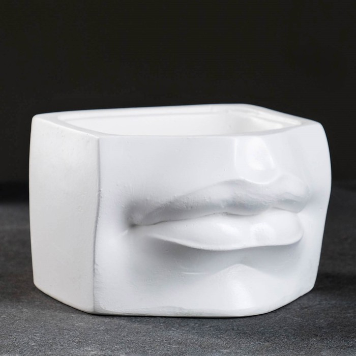 Кашпо - органайзер Кашпо - органайзер "Губы Давида" белое, 16х11,5х16см