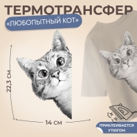 Термотрансфер «Любопытный кот», 14 × 22,3 см, цена за 1 штуку