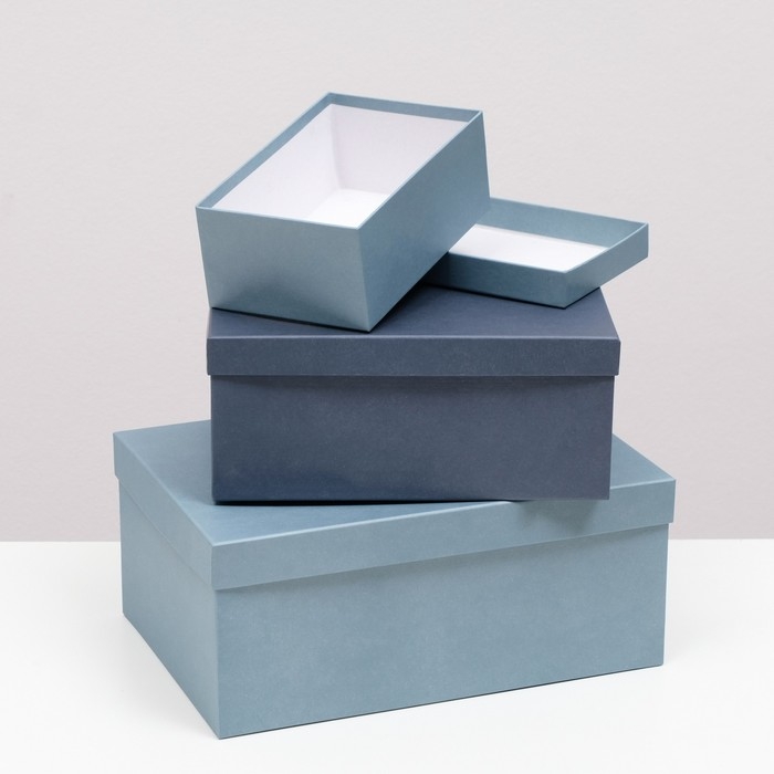 Набор коробок 10 в 1  Набор коробок 10 в 1 "Барракуда" 30,5 х 20 х 13 - 12 х 6,5 х 4 см