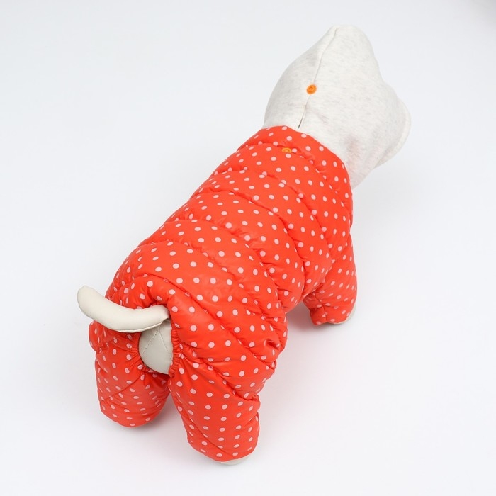 Комбинезон  Комбинезон "Для прогулки", размер 12 (ДС 24 см, ОГ 38 см, ОШ 27 см), оранжевый