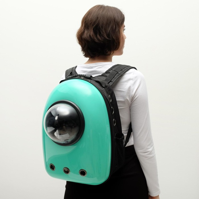 Рюкзак для переноски кошек и собак, с окном, 32 х 25 х 42 см, мятный Рюкзак для переноски кошек и собак, с окном, 32 х 25 х 42 см, мятный