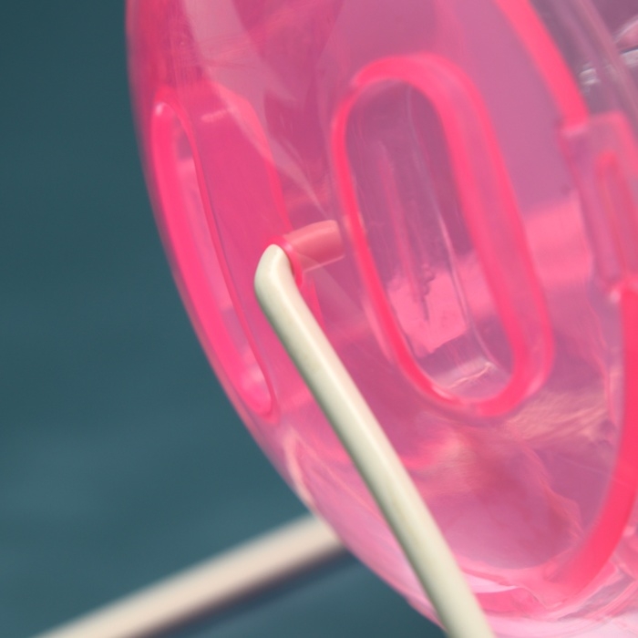 Шар для грызунов на металлическом основании, 12 см, розовый Шар для грызунов на металлическом основании, 12 см, розовый