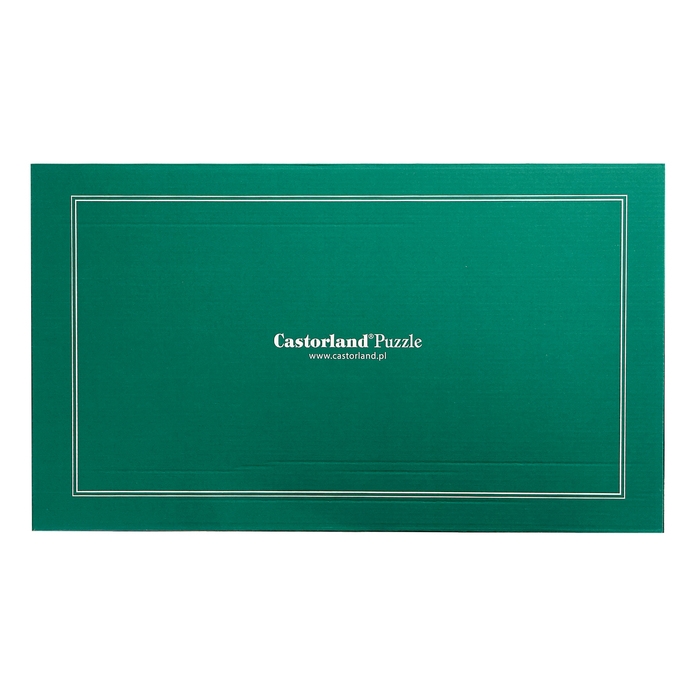 Пазл «Карнавал в Рио-де-Жанейро», 4000 элементов Пазл «Карнавал в Рио-де-Жанейро», 4000 элементов