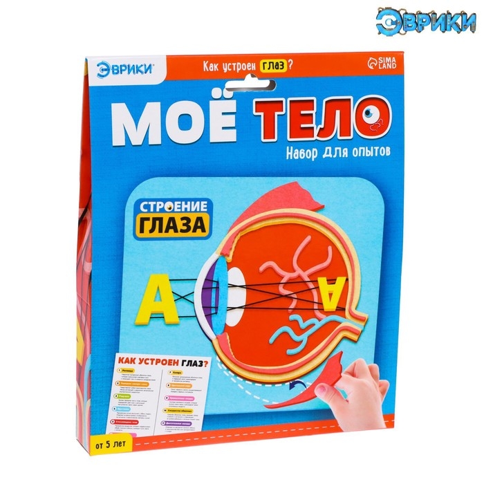 Набор для опытов «Моё тело», глаз Набор для опытов «Моё тело», глаз