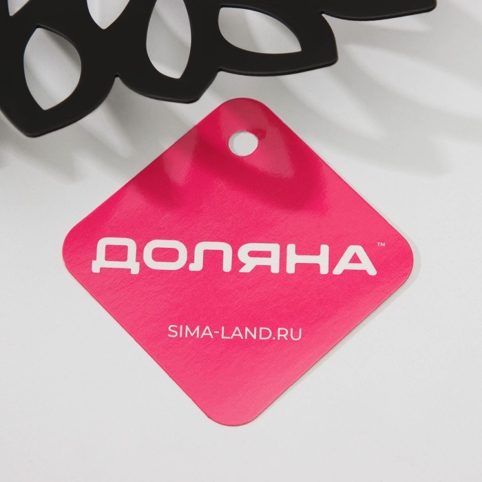 Фруктовница Доляна «Пион», 28,5×28,5×4,5 см, цвет чёрный Фруктовница Доляна «Пион», 28,5×28,5×4,5 см, цвет чёрный