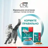 Влажный корм Purina One для кошек, говядина/морковь, 75 г