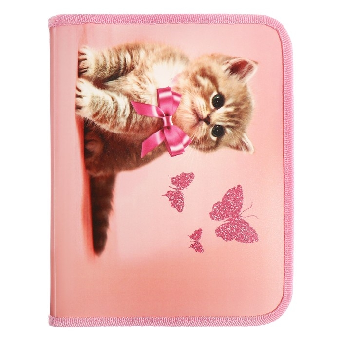 Папка для тетрадей А5, 180 х 230 х 25 мм, молния вокруг, пластиковая 0.5, ПМ-А5-04 Calligrata Папка для тетрадей А5, 180 х 230 х 25 мм, молния вокруг, пластиковая 0.5, ПМ-А5-04 Calligrata