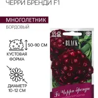 Семена цветов Гвоздика бородатая &laquo;Черри бренди&raquo;, F1, 4 шт., двулетник, &laquo;Гавриш&raquo;