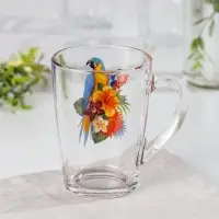 Кружка стеклянная «Тропические птицы», 300 мл Кружка стеклянная «Тропические птицы», 300 мл
