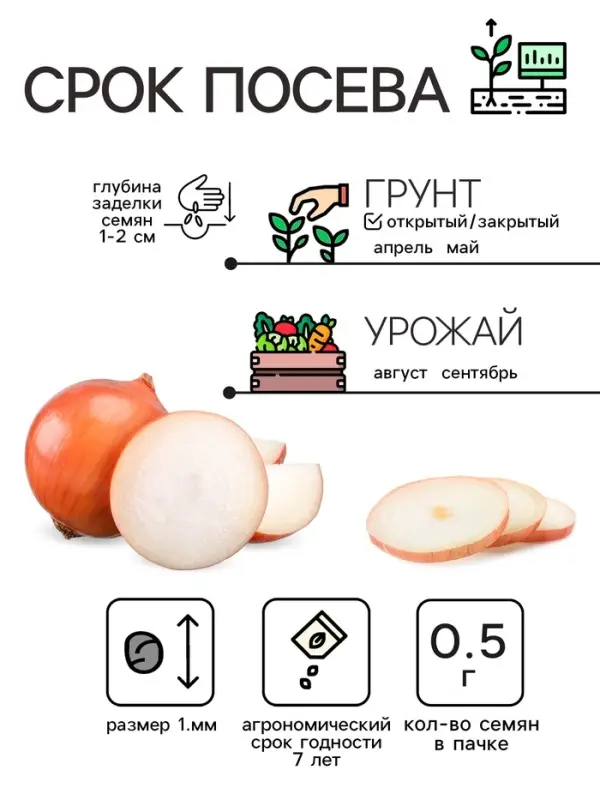 Семена Лук репчатый  Семена Лук репчатый "Халцедон", 0,5 г
