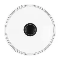 SATOSHI Крышка стеклянная безободковая с ручкой 24см