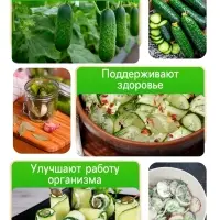 Семена Огурец "Пальчик", скороспелый, партенокарпический, 10 шт