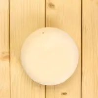 Вентиляционный клапан, липа, d=100 мм, металлическое основание, &laquo;Добропаровъ&raquo;