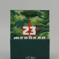 Набор подарочных ламинированных пакетов &laquo;Звезда&raquo;, 10 шт, 18 &times; 23 &times; 10 см