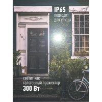 Прожектор светодиодный Космос K_PR5_LED_50 50Вт, IP65