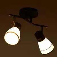 Спот потолочный &laquo;Айрис&raquo;, 2хЕ14, 40 Вт, черный, 38&times;18&times;22 см