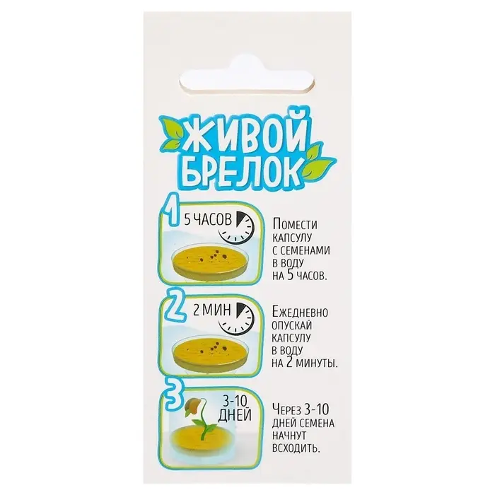 Набор для опыта &laquo;Живой брелок&raquo;, мини-сад, выращивание травы