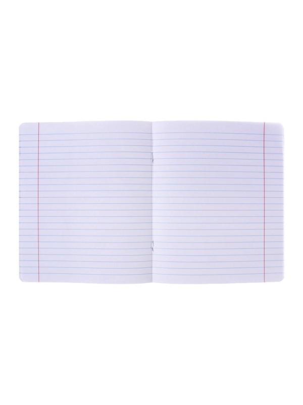 Тетрадь 48 листов в линейку ErichKrause, обложка мелованный картон, блок офсет, 100% белизна, МИКС