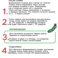Семена огурца "Бабушкин внучок", F1, 10 шт.
