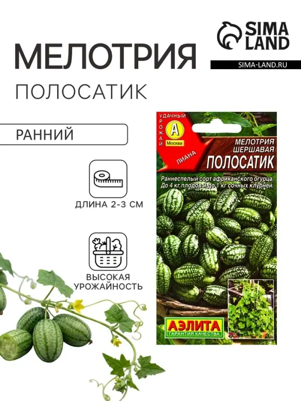 Семена Мелотрия (мышиная дыня) &laquo;Полосатик&raquo;, 0.03 г, &laquo;Аэлита&raquo;