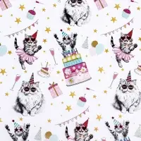 Бумага упаковочная, глянцевая "Танцевальные поздравления", 50 х 70 см