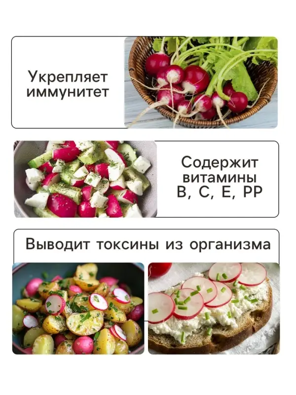 Семена Редис &laquo;Ризенбуттер&raquo;, 2 г