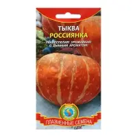 Семена Тыква "Россиянка", 2 г Семена Тыква "Россиянка", 2 г