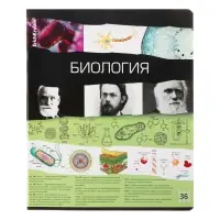 Набор предметных тетрадей ErichKrause. Timeline, 12 предметов, 36 листов, со справочным материалом