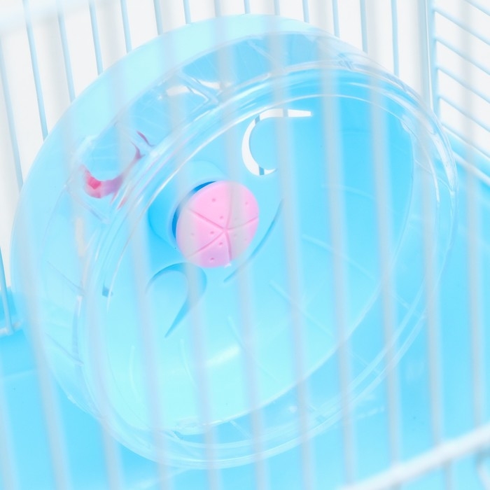 Клетка для грызунов Клетка для грызунов "Пижон", двухэтажная с наполнением 31 х 24 х 29 см, голубая