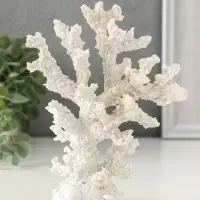 Сувенир полистоун "Коралл белый" 14,5х5,5х17,5 см