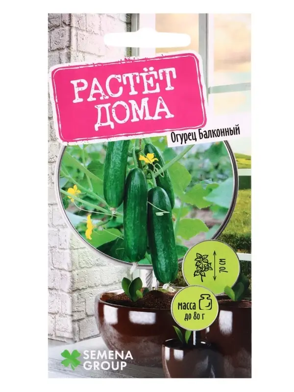 Семена  Семена "Растёт дома!" Огурец Балконный 5 шт.