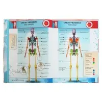 Энциклопедия 4D в дополненной реальности «Анатомия» Энциклопедия 4D в дополненной реальности «Анатомия»