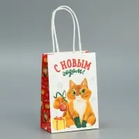 Пакет подарочный новогодний крафтовый «С Новым годом», 15 х 10 х 6 см Пакет подарочный новогодний крафтовый «С Новым годом», 15 х 10 х 6 см