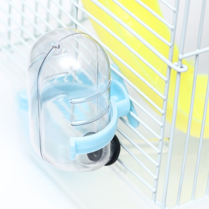 Клетка для грызунов Клетка для грызунов "Пижон", 23 х 17 х 33 см, прозрачная, голубое наполнение