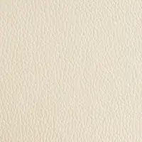Заплатка клеевая из кожзаменителя, 10&times;20 см, бежевая