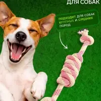 Игрушка для больших и средних собак канатная &laquo;Двойной узел&raquo;, до 50 см, до 185 г