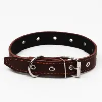 Ошейник кожаный на синтепоне, безразмерный, 65&times;3 см, ОШ 22-55 см, коричневый