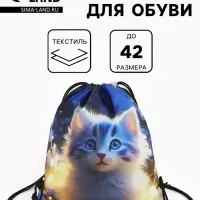 Мешок для обуви &laquo;Киса&raquo;, на стяжке, 36&times;0.5&times;42 см